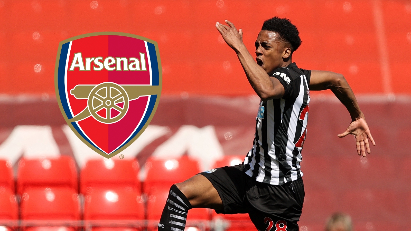 Joe Willock Newcastle Arsenal GFX