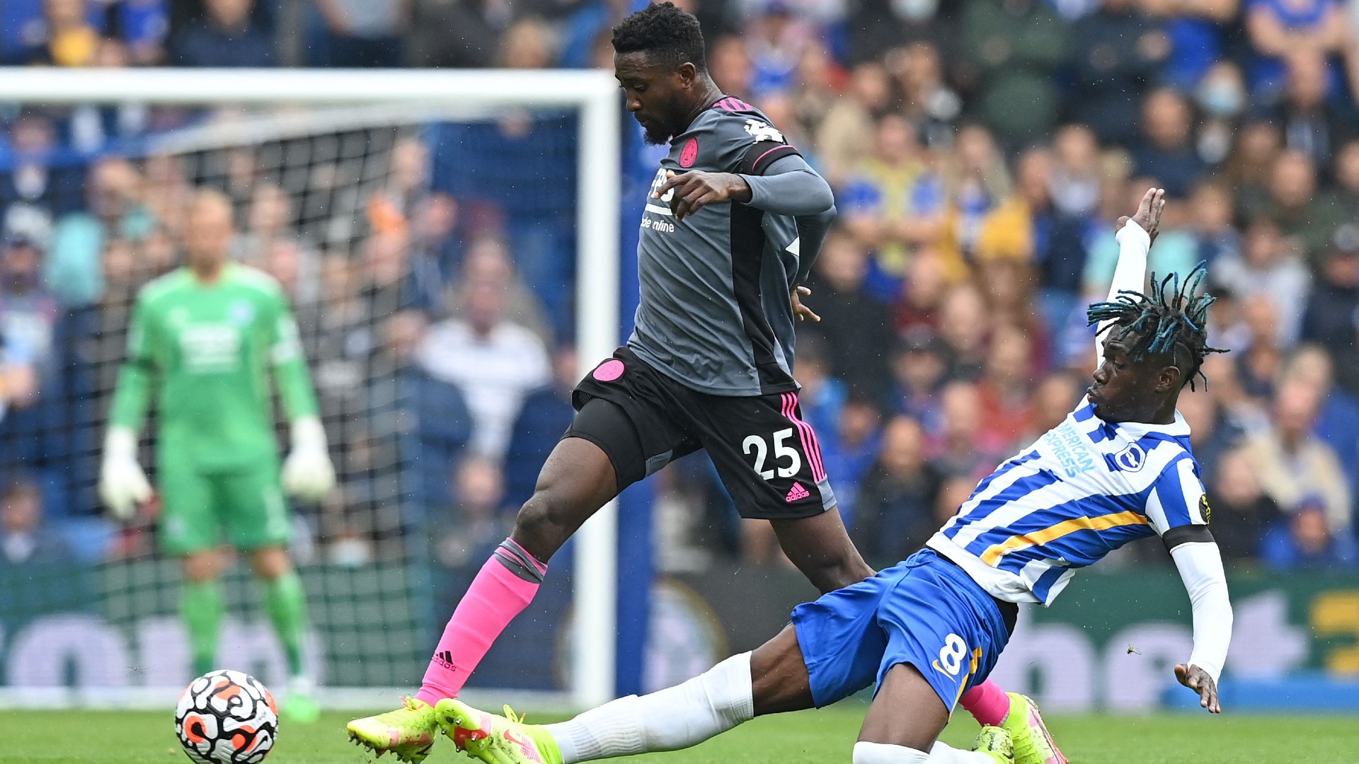 Yves Bissouma, Wilfred Ndidi